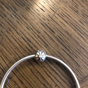 Pandora clip